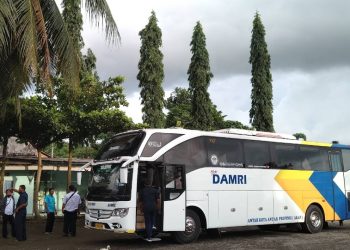 Bus Damri