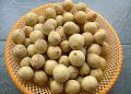 Buah Duku