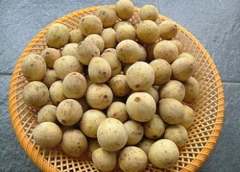 Buah Duku