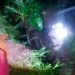 Rumah Warga Tosari Pasuruan Tertimbun Tanah Longsor, Petugas Pasang Terpal di Area Rawan Bencana Susulan 8 Tanah longsor.