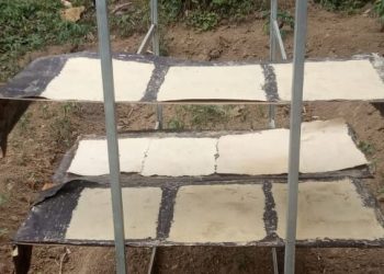 Tangan Mahasiswa Kreatif Sulap Limbah Kulit Jagung Jadi Kertas Ramah Lingkungan
