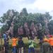 Liburan Seru! Sensasi Petik Buah Klengkeng Langsung dari Pohon di Agrowisata Kebun Klengkeng Sugihan 9 Petik Klengkeng