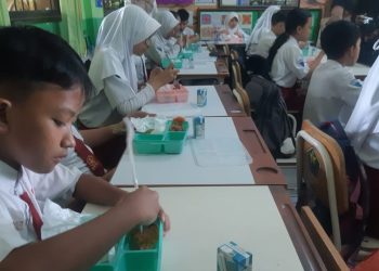 makan bergizi gratis