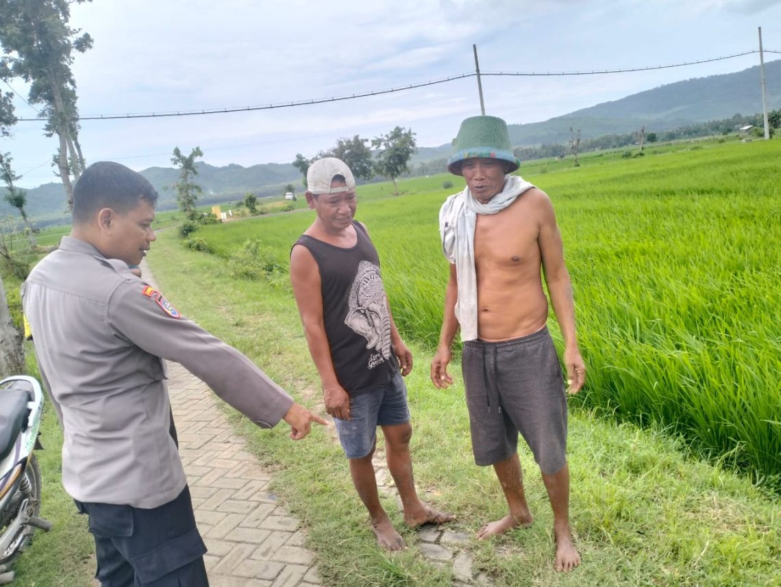 Pelaku Curanmor Sasaran Sepeda Motor Diparkir di Persawahan Jember Babak Belur Dihajar Massa 1 pencurian sepeda motor