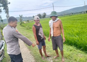 Pelaku Curanmor Sasaran Sepeda Motor Diparkir di Persawahan Jember Babak Belur Dihajar Massa 9 pencurian sepeda motor