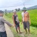 Pelaku Curanmor Sasaran Sepeda Motor Diparkir di Persawahan Jember Babak Belur Dihajar Massa 8 pencurian sepeda motor