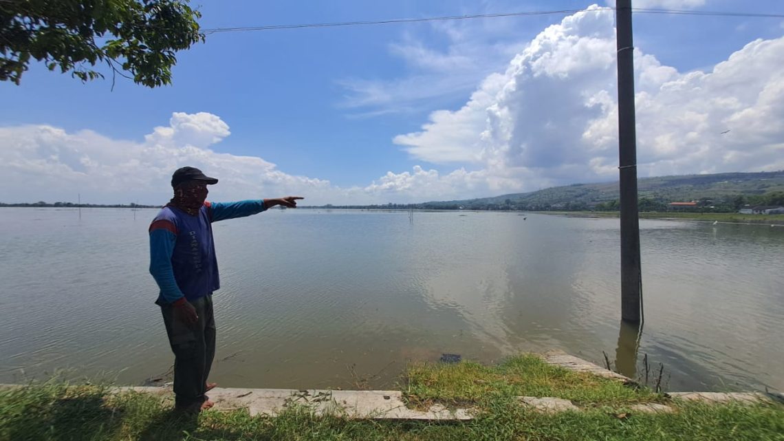 Banjir Sungai Bengawan Solo Rendam Tujuh Desa dan Ratusan Hektare Sawah di Tuban Terancam Gagal Panen 1 Banjir Sungai Bengawan Solo