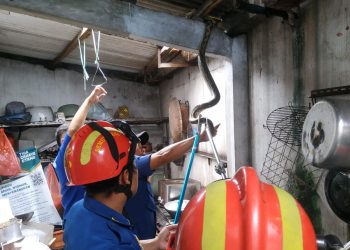 ular piton masuk ke rumah warga Malang (dok. UPT Damkar