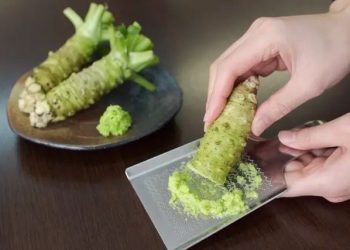 Wasabi