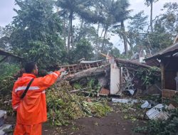 Puting beliung di Jember.