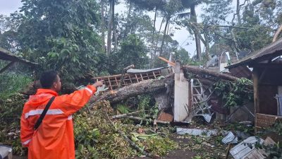 Puting beliung di Jember.