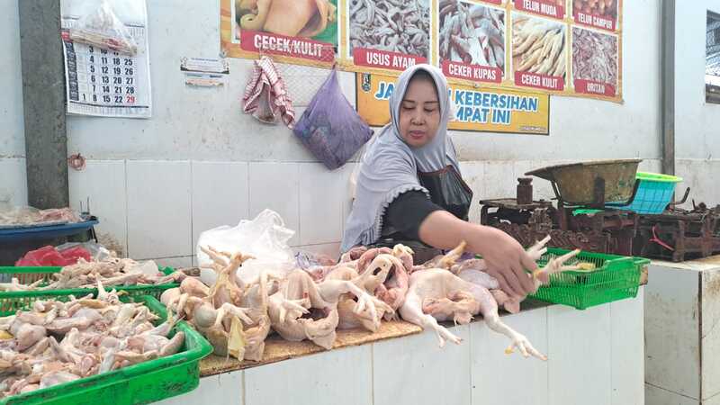 Harga daging ayam.
