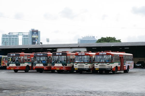 Bis Mudik