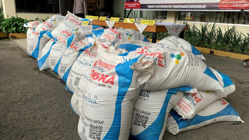 3 Ton Pupuk Subsidi Nyaris Diselundupkan ke Jember, Terduga Pelaku Ditangkap 2 Pupuk subsidi di Jember.