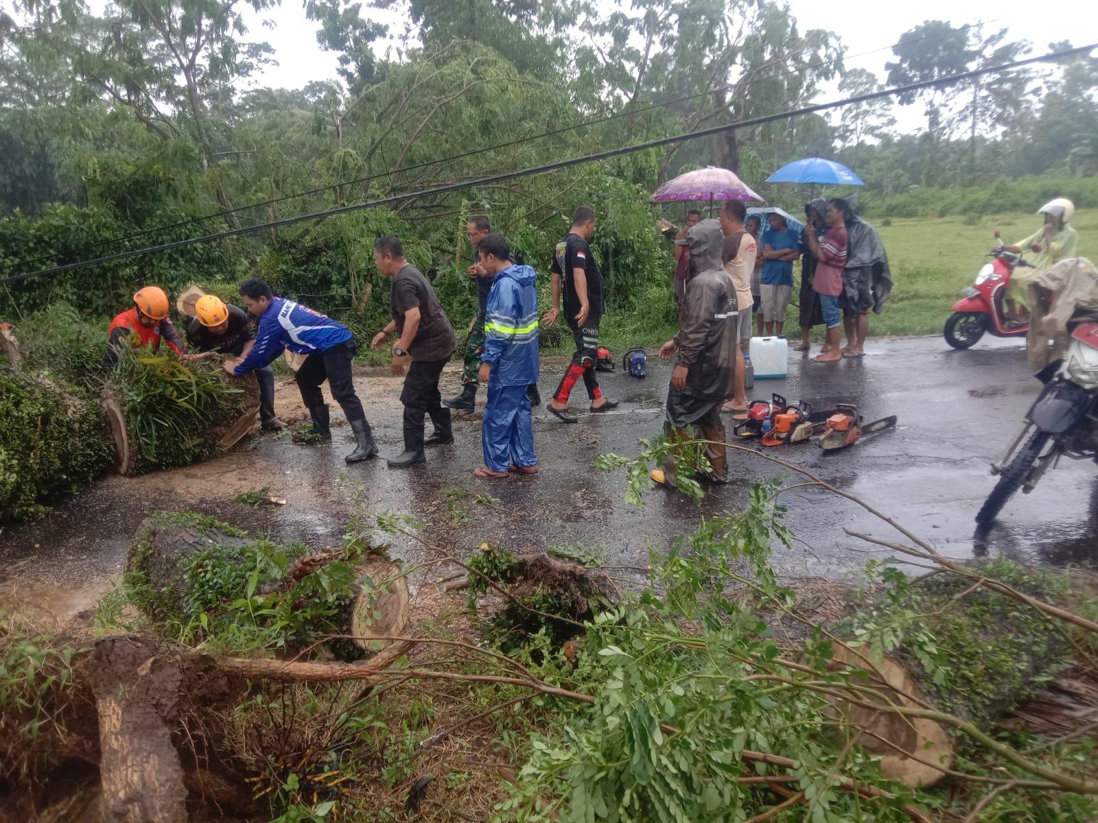 Pohon Tumbang