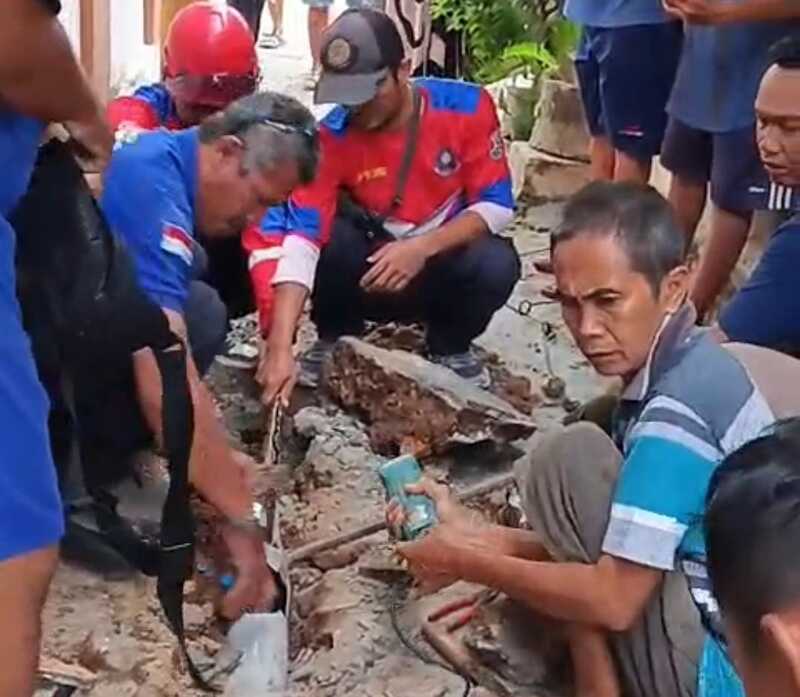 Ular Piton Sumbat Saluran Air, Warga Tuban Panik 2 Ular piton Tuban.