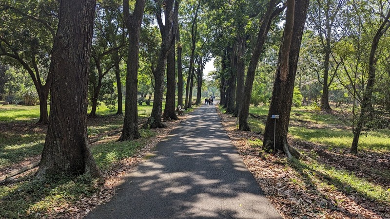 Kebun Raya Purwodadi.