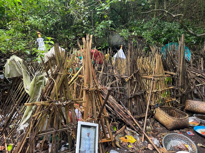 Budaya Unik di Desa Terunyan Bali, Makamkan Jenazah di Bawah Pohon Besar 4 Desa Terunyan.