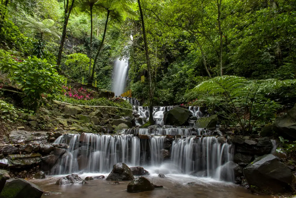 Air terjun di Mojokerto, Serunya Berpetualang ke Air Terjun Dlundung 8 Air terjun di Mojokerto, Serunya Berpetualang ke Air Terjun Dlundung