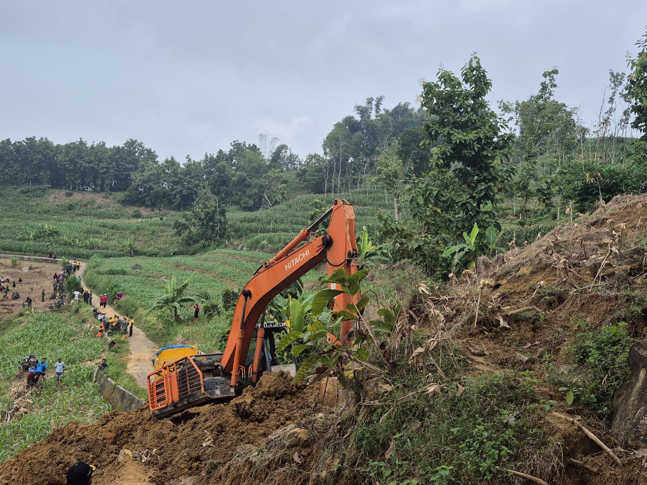 Akses Jalan Diterjang Longsor di Tuban