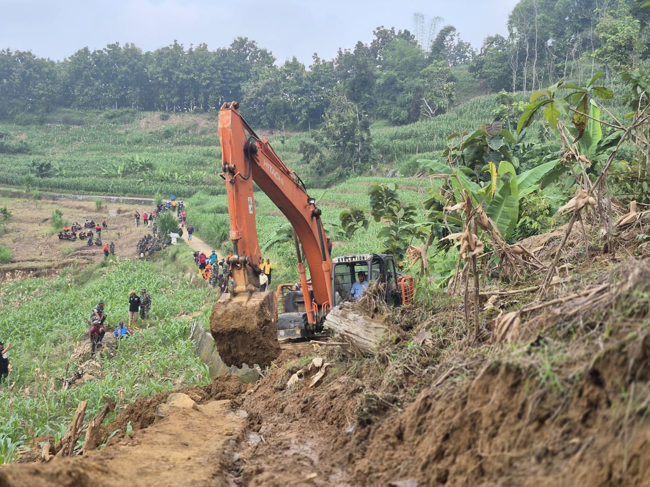 Akses Jalan Diterjang Longsor di Tuban 1