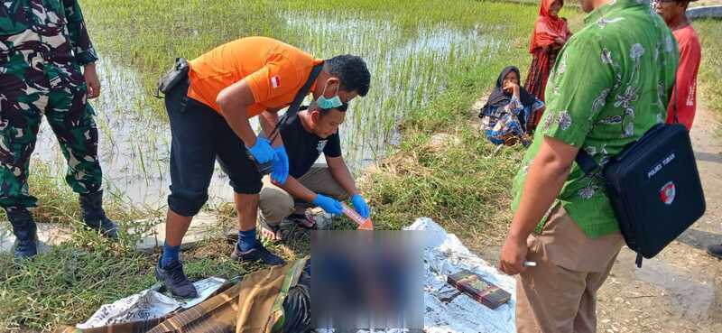Kakek di Tuban Ditemukan Tewas di Sawah, Ini Hasil Pemeriksaan! 2 Kakek tewas di Tuban.