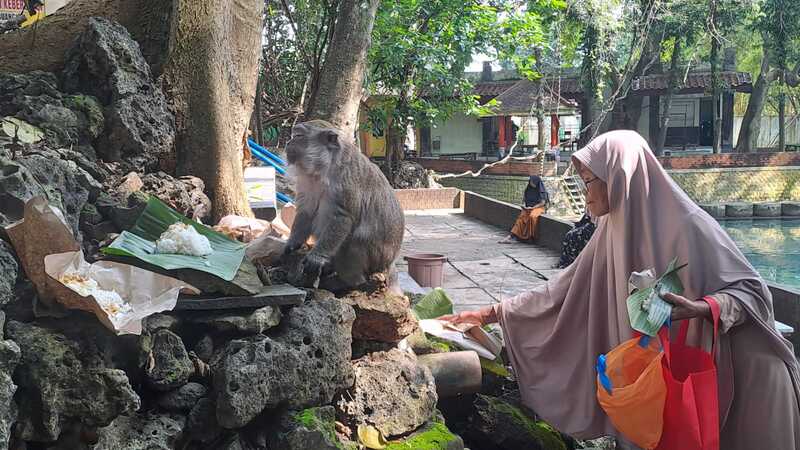 Sedekah bumi di Bektiharjo Tuban.