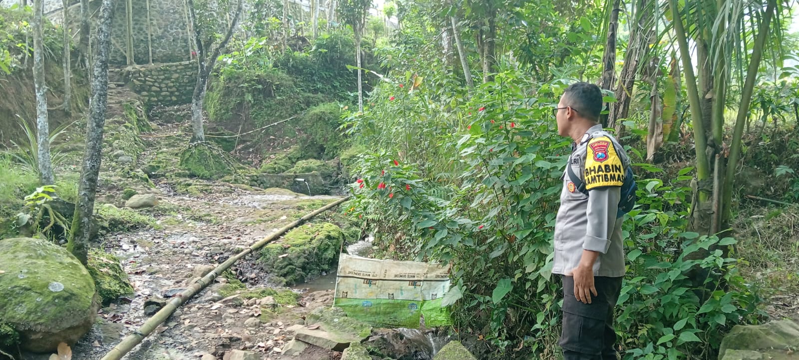 Pasutri Jember diseruduk babi hutan saat mandi bareng