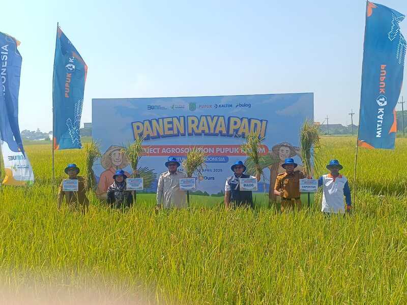 Agrosolution Pupuk Kaltim.