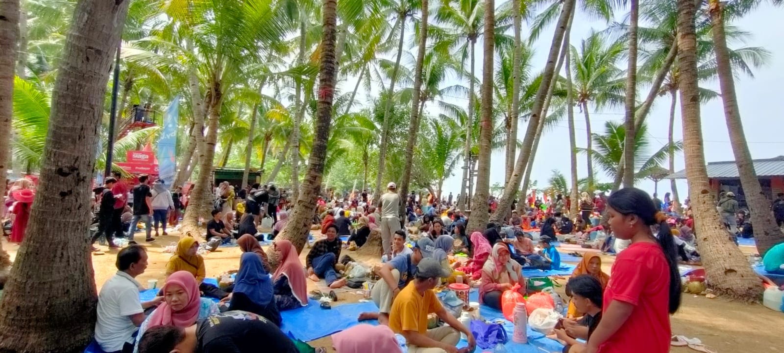Pantai Kelapa Tuban.