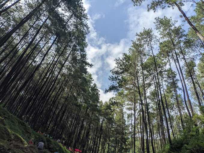 Klurak Eco Park