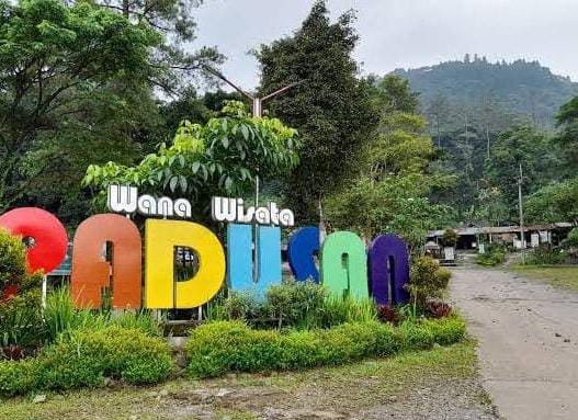 Wisata Padusan