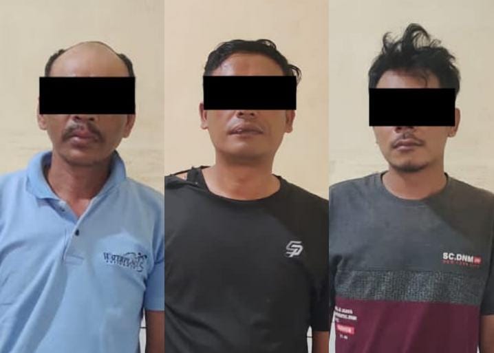 Pencuri Alpukat