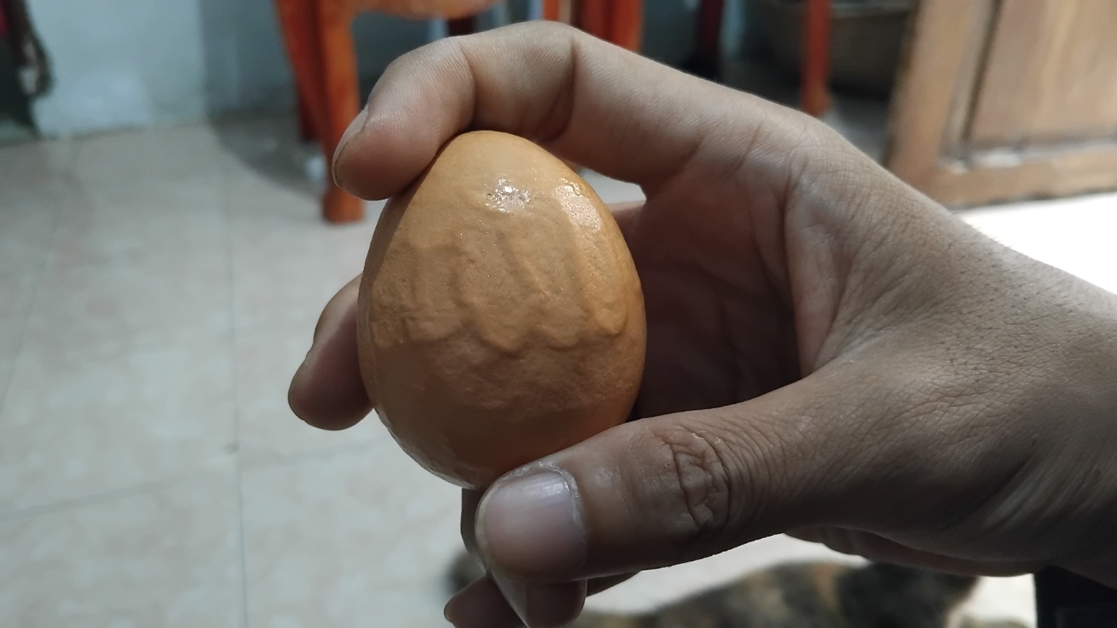 Telur Lafadz Allah