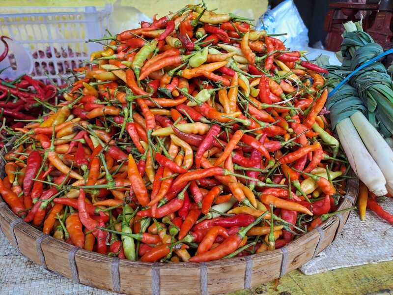 Harga Cabai Rawit di Tuban Rontok Jelang Iduladha, Pedagang: Murah Banget! 1 Harga cabai rawit.