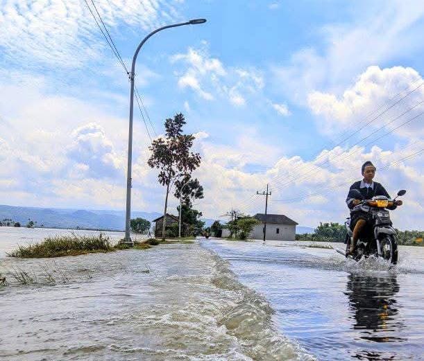Petani Tuban Gagal Panen Dampak Banjir di Musim Kemarau 10 Banjir di Musim Kemarau