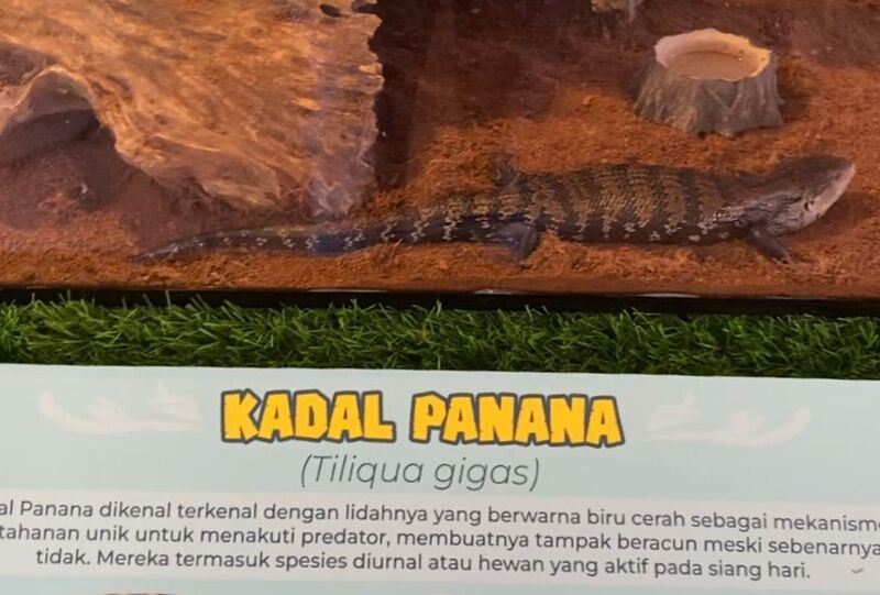 Makin Cantik! New Wisata Wendit by Nicole's Tetap Pertahankan Konsep Budaya dan Edukasi 8 New Wisata Wendit 2025 di Malang.