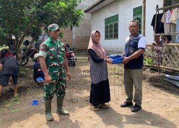 Budi daya ikan lele.