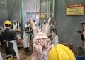 Juru sembelih di Tuban.