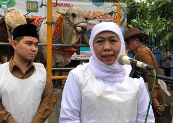 Hewan Kurban Presiden Prabowo Subianto
