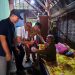 Banjir Sungai Bengawan Solo
