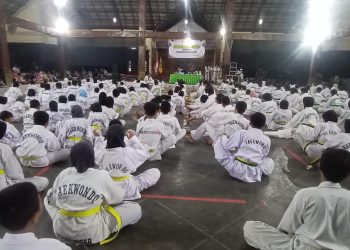 Taekwondo