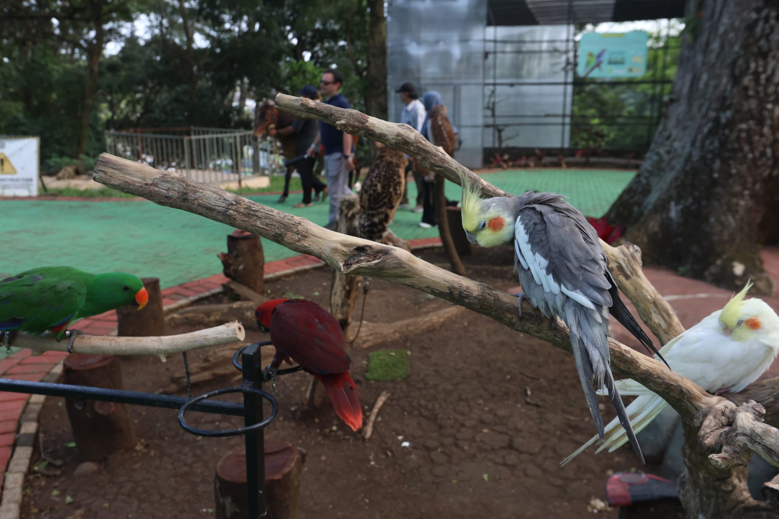 New Wisata Wendit Siap Jadi Venue HUT Kabupaten Malang Ke-1265 2 New Wisata Wendit 1