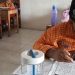 DPRD Kota Malang Minta Awasi Ketat Putusan SD-SMP Swasta Gratis, Awas Tuai Polemik Finansial 8 DPRD Kota Malang.