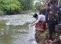 Benih ikan.