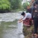 Benih ikan.