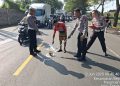 Pikap tabrak motor.