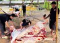 PT Empat Sekawan Mulia.