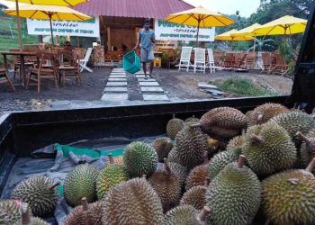 Wisata keluarga di Tuban.