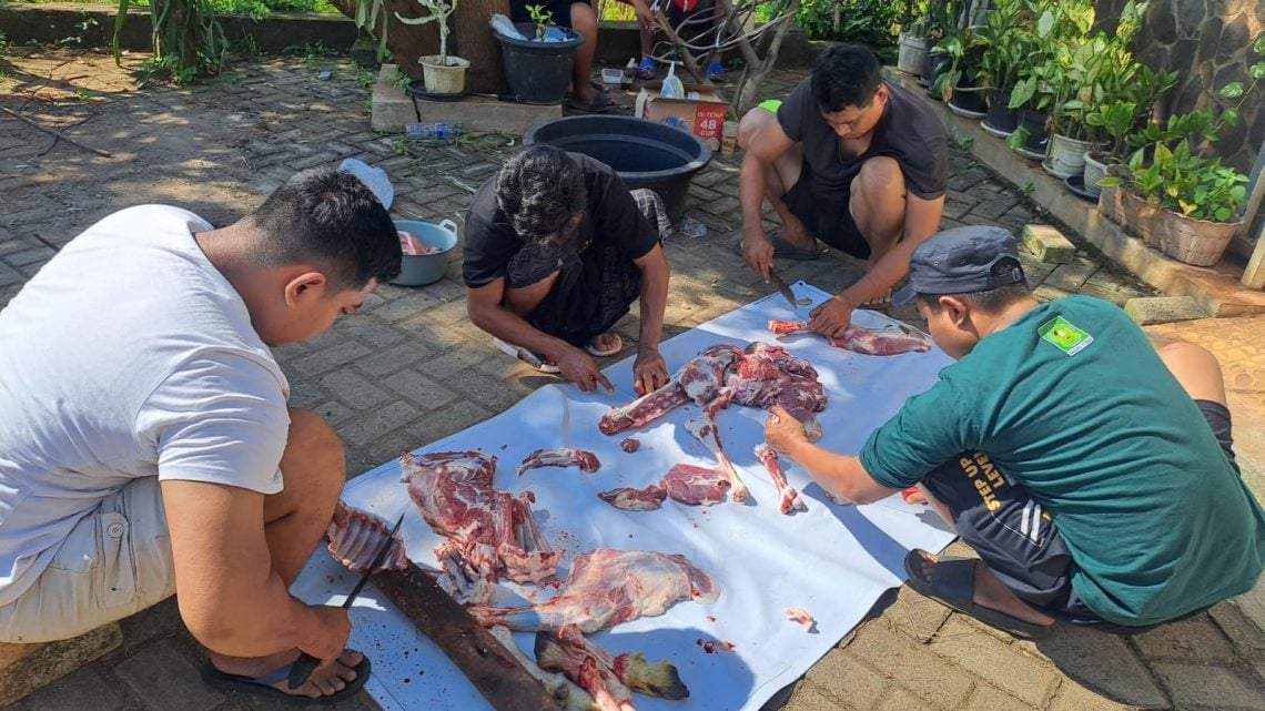 daging kurban
